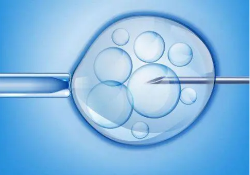 2026年想要快速，掌握这4个备孕小技巧助你早日怀上虎上海助孕宝宝