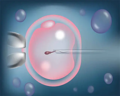 一直备孕但是排卵期同房也没怀上上海助孕宝宝是怎么回事