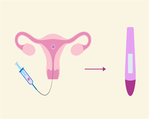 石家庄供卵试管电话，石家庄供卵试管