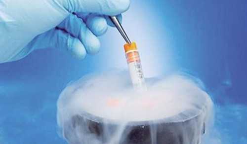 广州试管供卵生子助孕机构排名，附广东助孕机构一览！-正规供卵平台