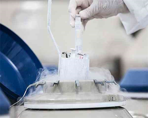 石家庄试管私立医院排名分享(石家庄民营试管医院有哪些)