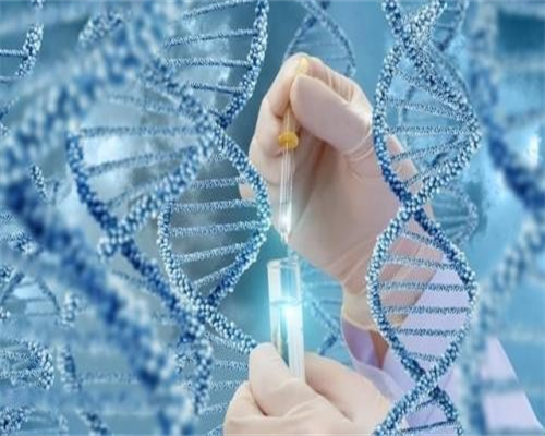 长沙供(借)卵试管婴儿排名前十医院,长沙借卵试管费用多少？