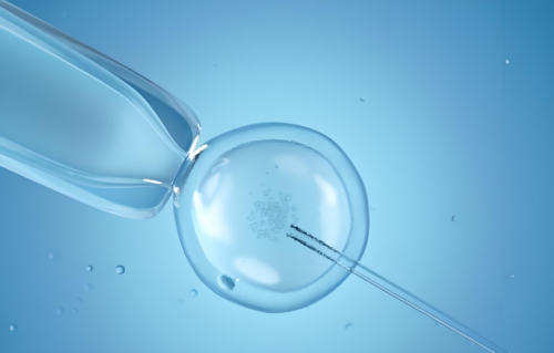 上海助孕宝宝半年只长1cm的原因，上海助孕宝宝拉肚子的原因