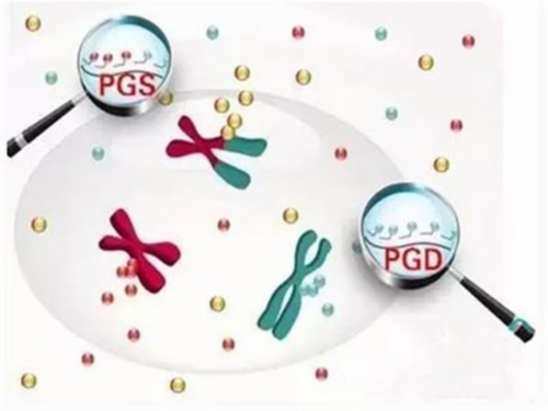 北京大学深圳医院生殖科做三代试管可以查性别选男宝吗？