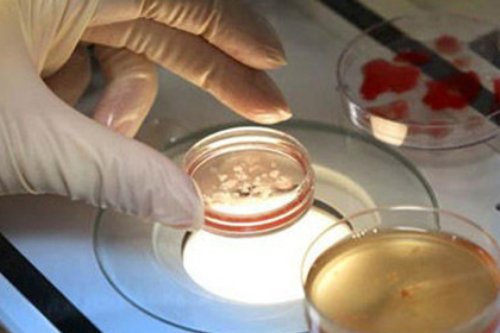 上海助孕宝宝睡觉不安稳上海助孕宝宝后脑勺出汗多是怎么回事