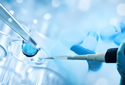 听说，上海豫园有助孕的石头。用右手摸，生男孩子。用左手摸，生女孩子。这