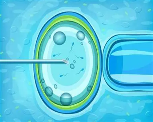 沈阳代孕专业机构