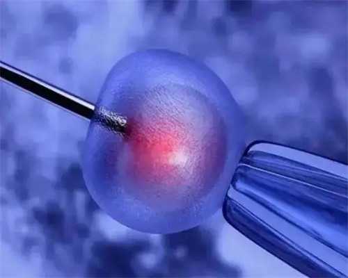 上海助孕宝宝屁粮get一波，超柔呵护上海助孕宝宝小屁屁！