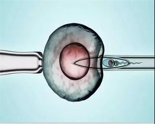 上海助孕宝宝用爽身粉好吗
