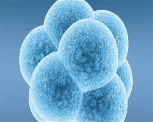 上海正规试管助孕中介公司排名榜,上海市排名前十的试管婴儿助孕中心有哪些