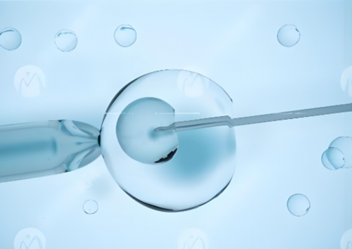 石家庄井陉矿区试管婴儿哪家比较好呢？石家庄做试管的医院？