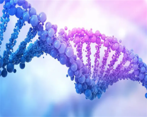 2026长沙做试管捐卵费用明细揭晓,2026长沙做试管捐卵机构排行榜