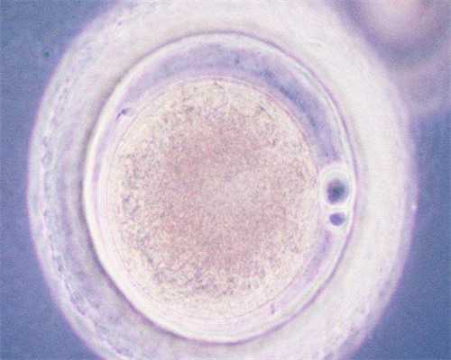 石家庄三代试管医院(石家庄妇产科医院三代试管)