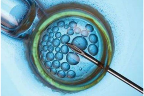 深圳助孕价格,深圳代生男孩,深圳代生妈妈