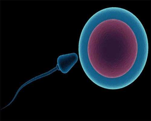 石家庄代生多少钱,石家庄做供卵的机构排名