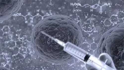 2026石家庄农村给孩子加急迁移户口一天能办理完手续吗？