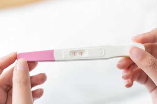 石家庄试管婴儿：试管在石家庄多少钱