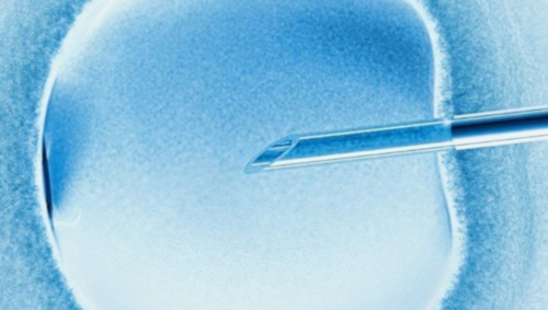 石家庄哪儿可以做试管(石家庄市四院可以做试管吗)