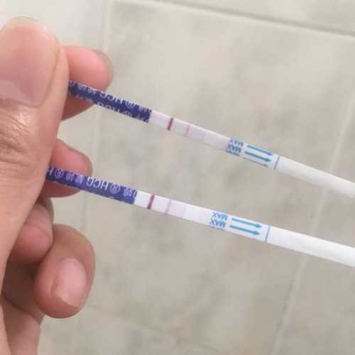 2026郑州借卵试管医院排名公开附河南前三供卵机构详细介绍