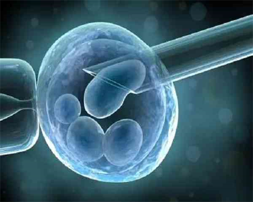 石家庄做试管的医院-石家庄单身试管