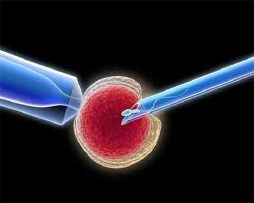 上海助孕宝宝缺锌吃什么