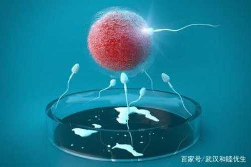 沈阳那做代生好