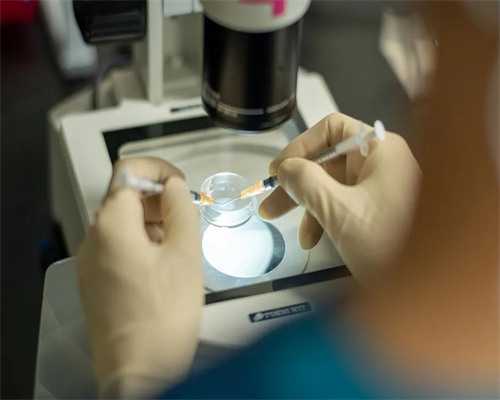 北京试管助孕机构排名榜名单公布最新,北京助孕机构大全-借卵医院