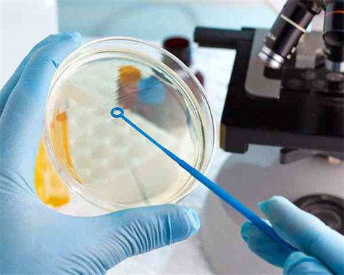 上海市排名前十的试管婴儿助孕中心有哪些？?