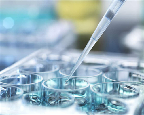 广州华诚试管助孕,广州供卵医院就到十月幸孕助孕_代孕最靠谱中心