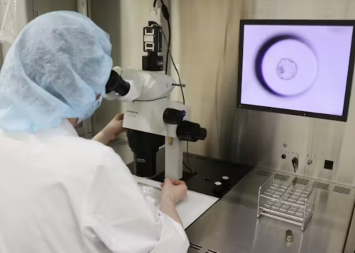 IVF辅助生殖科普