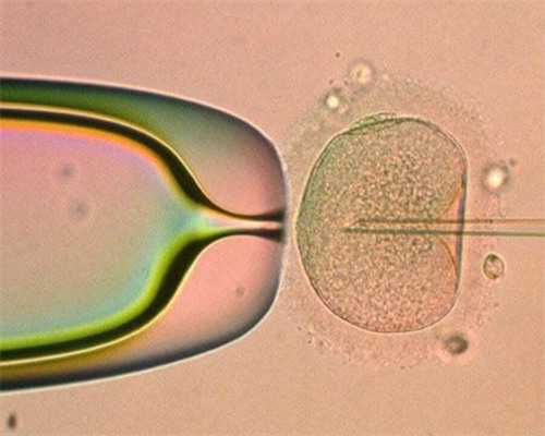 正规试管助孕机构：上海正规助孕机构，国内助孕中心一览