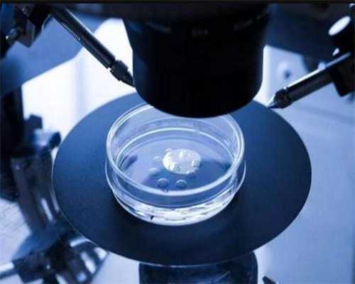 如何哄上海助孕宝宝睡觉