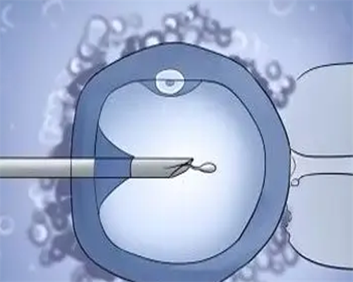 先见红的上海助孕宝宝有没福气，先见红的上海助孕宝宝好不好