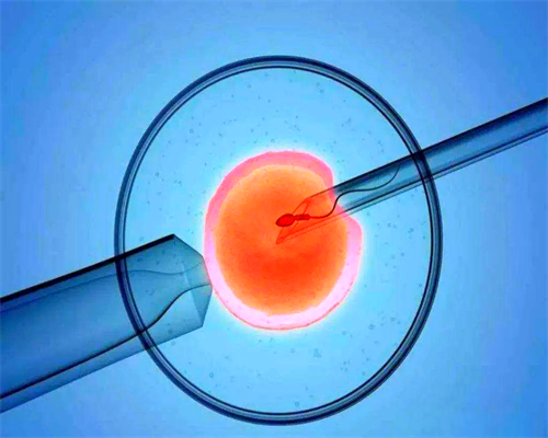 石家庄同性恋能怀孕吗，石家庄同性恋是否可以怀孕？