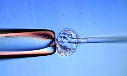 石家庄试管供卵代生男孩,石家庄供卵生男孩