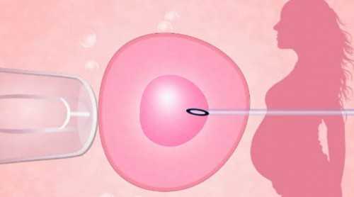 石家庄生孩子的试管医院，石家庄试管生育专科医院
