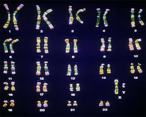 三代试管供卵:试管婴儿补充黄体酮作用很大!