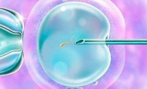 石家庄代生联系电话,石家庄助孕费用-石家庄辅助生殖中心