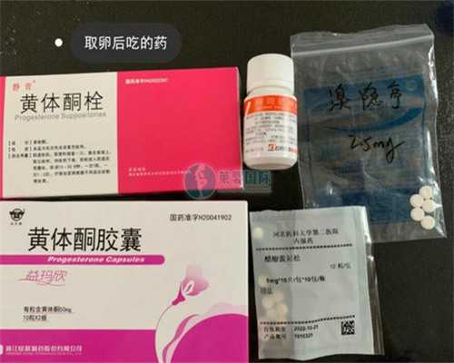 上海试管婴儿助孕中心收费标准有哪些？?,上海三代试管助孕基本费用?