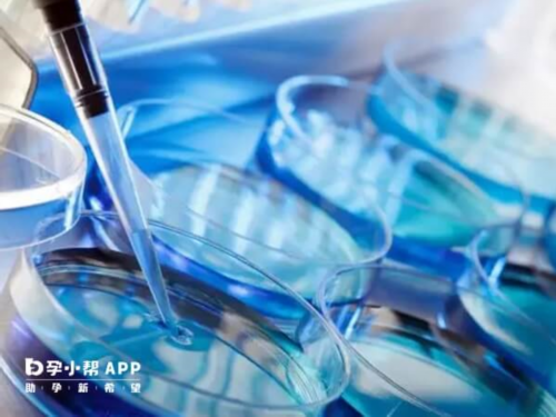 上海东方俪人生殖医学研究所?,上海爱琴海生殖医院?