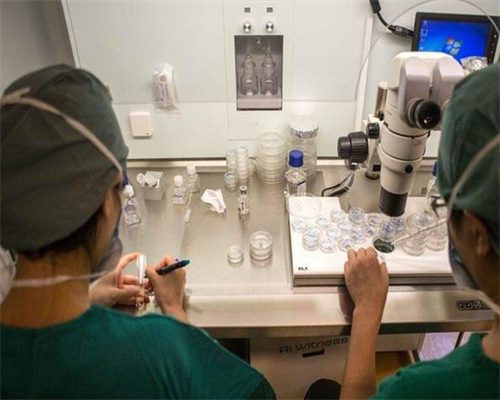 石家庄代生套餐介绍,石家庄助孕网-石家庄辅助生殖中心