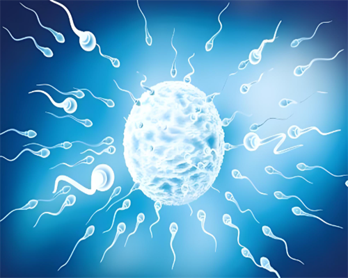 上海助孕宝宝几个月学说话