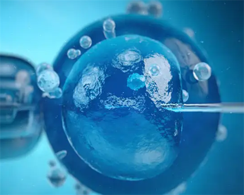 上海试管助孕成功率多少啊？?,上海试管婴儿助孕机构排名前十名医院