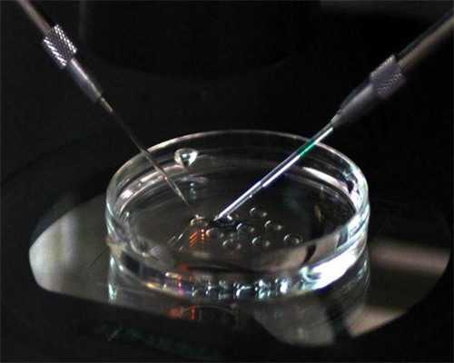 试管上海助孕宝宝和自然受孕的上海助孕宝宝会不会存在一些差异？