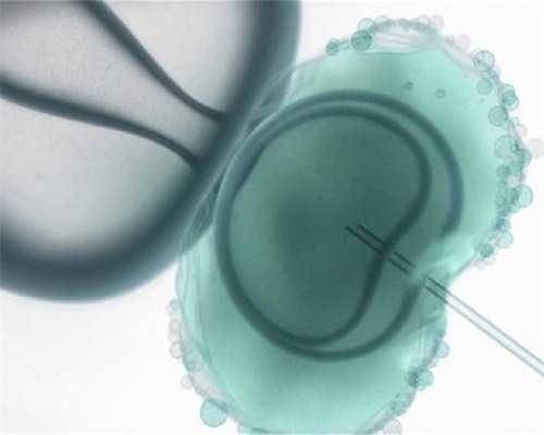 石家庄试管婴儿服务公司(石家庄试管排名)