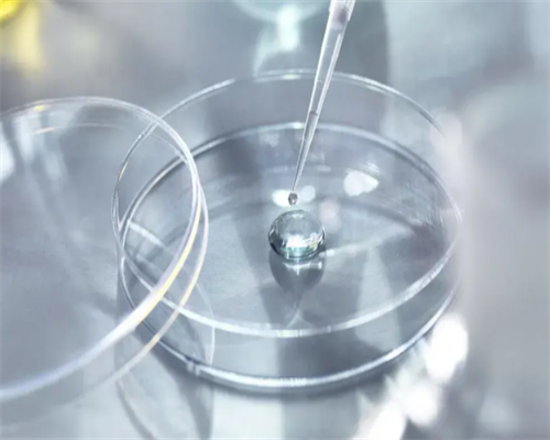 2026年想要快速，掌握这4个备孕小技巧助你早日怀上虎上海助孕宝宝