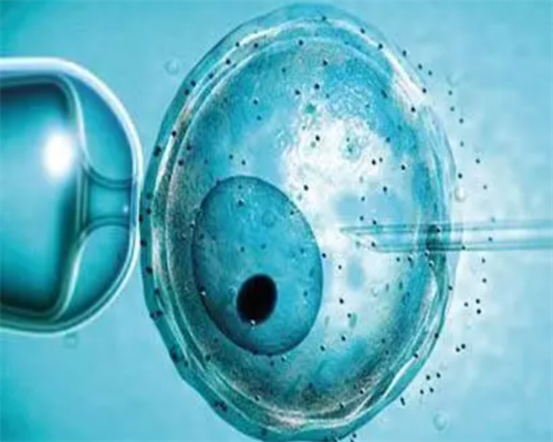 广州华诚试管助孕,广州供卵医院就到十月幸孕助孕_最著名代孕公司