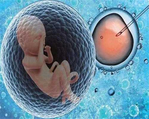 石家庄市人力资源考试网官网（石家庄人事考试中心）