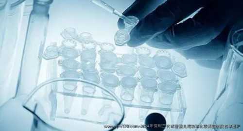 如何降低深圳三代试管助孕的费用？,深圳哪试管助孕呢？_高龄借卵自怀