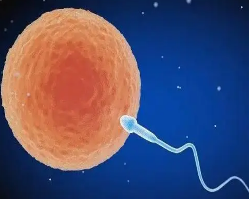 石家庄代怀孩子价格,2026石家庄四院做一次供精试管婴儿费用是多少钱？